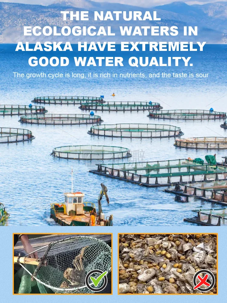 Alaskan Snow Crab product image 4